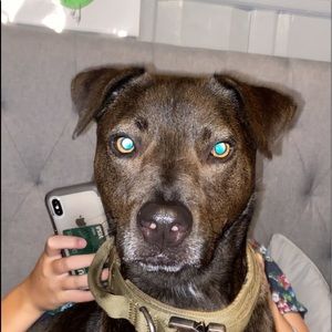 Meet your Posher, Lezlie